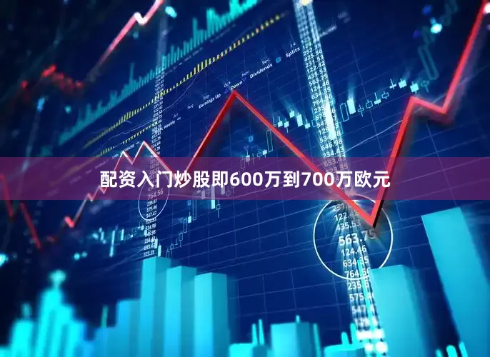 配资入门炒股即600万到700万欧元