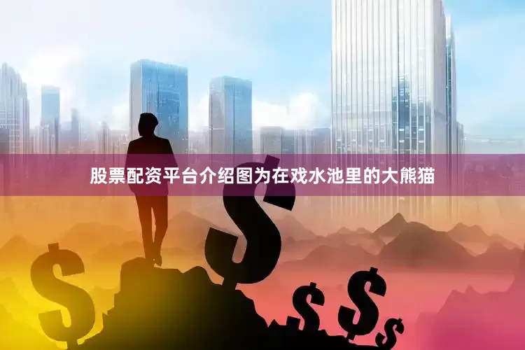 股票配资平台介绍图为在戏水池里的大熊猫