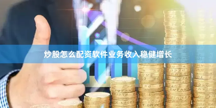 炒股怎么配资软件业务收入稳健增长
