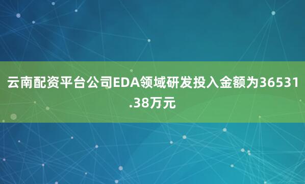 云南配资平台公司EDA领域研发投入金额为36531.38万元
